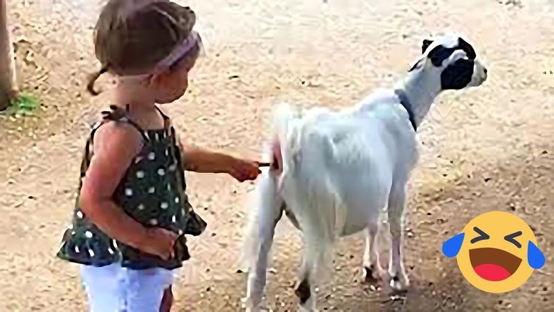 Crazy & Epic Fails Caught on Camera! | Try Not to Laugh 😂 | Laugh Moment Of The Week LMW 🔥 #14