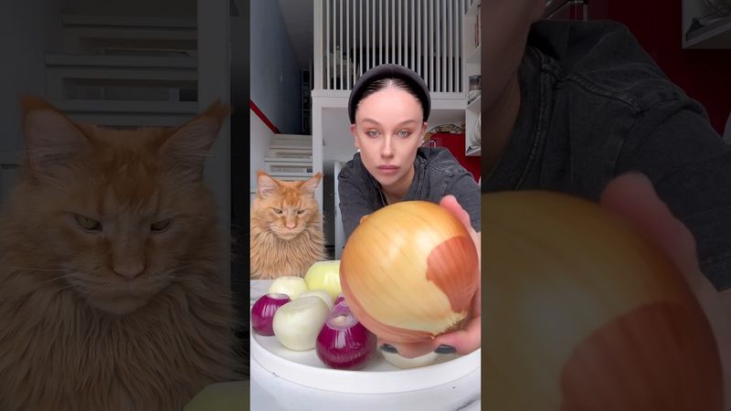 как относитесь к луку? #рецепты #суп #еда