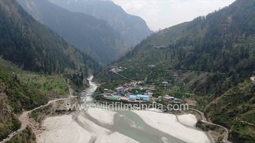 Ganga traverses the Mukhba Jhala valley stretch below Harsil on way to plains after Gangotri descent
