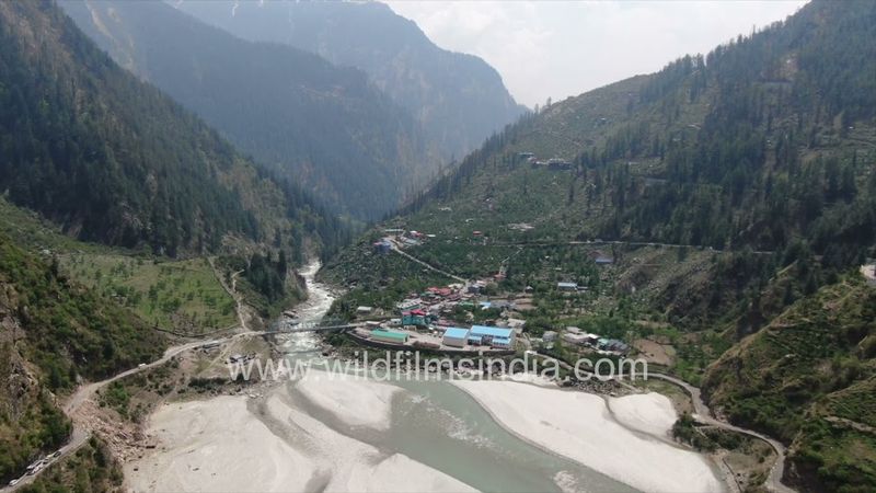 Ganga traverses the Mukhba Jhala valley stretch below Harsil on way to plains after Gangotri descent