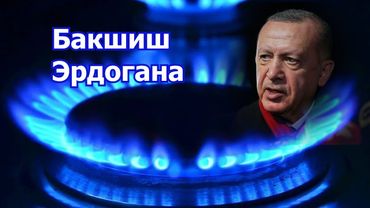 Денег от Турции за газ мы долго не получим?