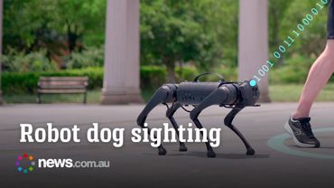 Robot dog walks through shopping mall