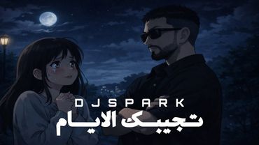 ريمكس تجيبك الايام - DJ SPARK