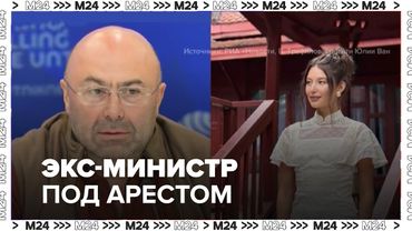 Экс-министр Подмосковья под арестом: дело о жестоком избиении и явка с повинной
