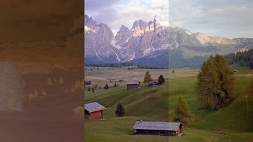 Pengaturan Terbaik untuk Negative Lab Pro