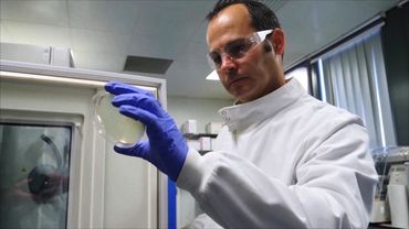 Поверхность с определённым узором противостоит скоплению бактерий