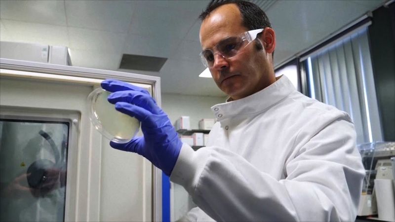 Поверхность с определённым узором противостоит скоплению бактерий