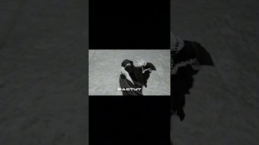 КОММО — «Секреты и Нервы». Альбом «Секреты и Нервы» 8 августа.