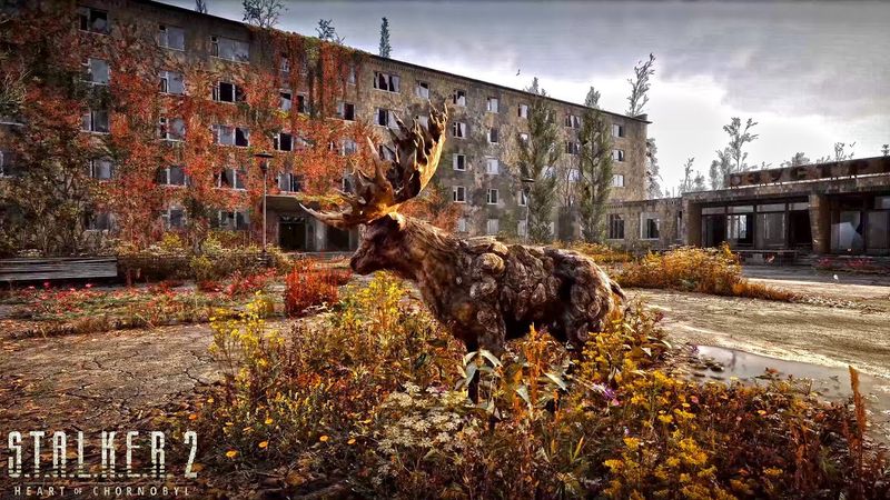 S.T.A.L.K.E.R. 2: Баги! Коли вже A-Life 2.0! Розіграш Xbox та STALKER 2