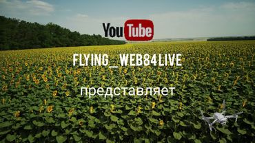 Съемка с дрона. Поля Кубани. Дорога в Крым.