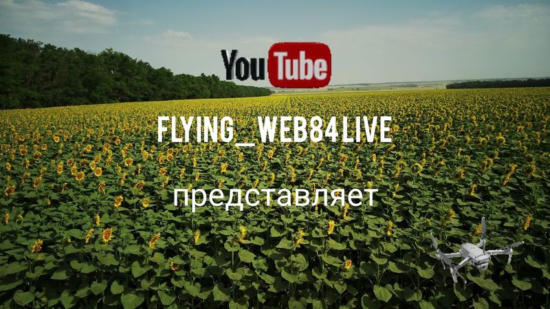 Съемка с дрона. Поля Кубани. Дорога в Крым.