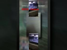 запрос от @ytpmvscans3136: PLPMV December 11, 2024 Scan [AM]