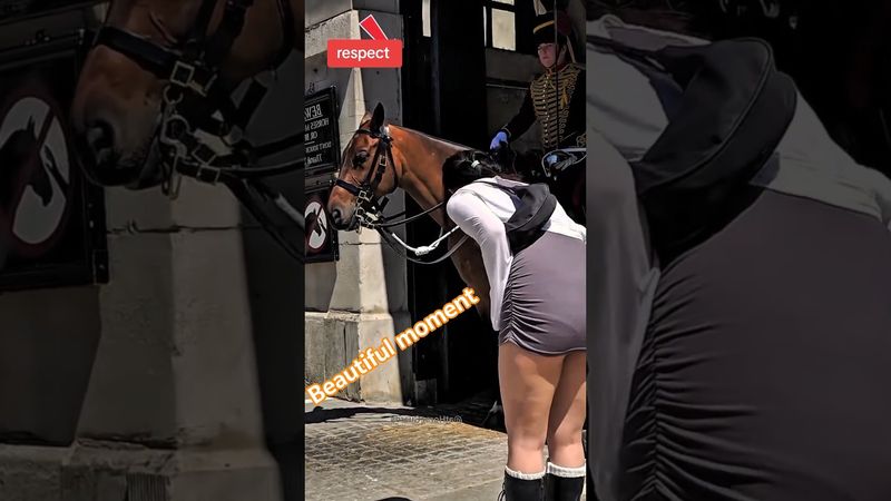 respect tourist 🙏❤#horseguardsparade #peterellis #kingsguard #buckinghampalace #thekingguard