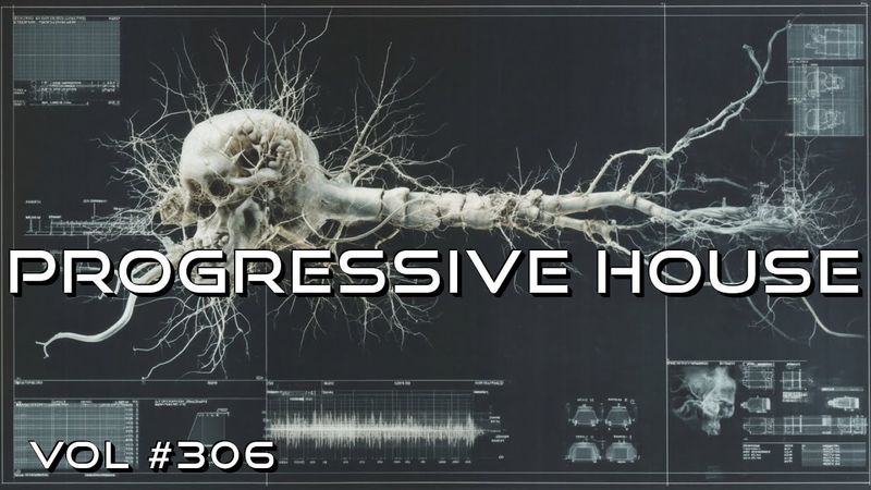 Melodic Techno & Progressive House Mix 2025 Vol. 306