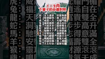 ✅ 十二生肖下輩子的命運對照