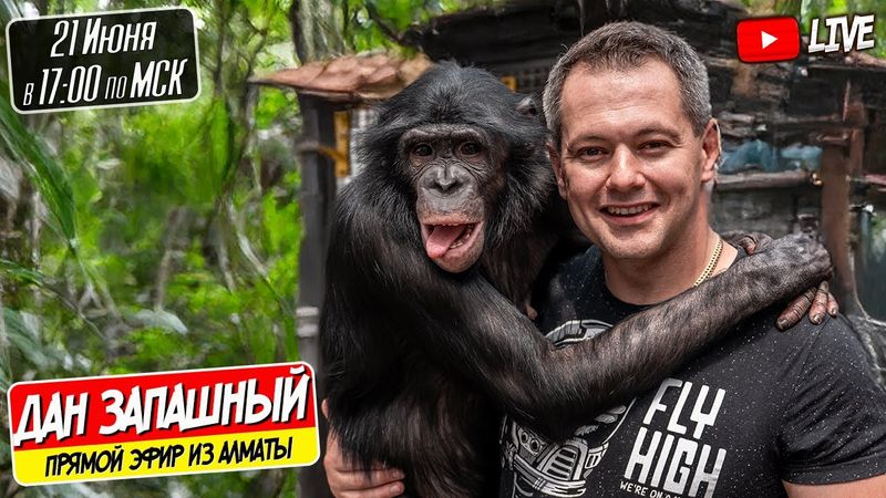 🔴 Как Отреагирует Шимпанзе Боня Когда Въедет в Обновлённый Автодом?