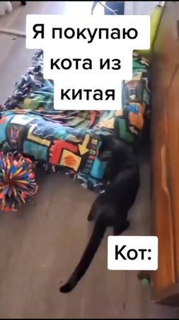 #будьnova #on #шкафандрчеллендж #рек