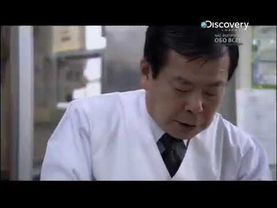 Фугу - ядовитая рыба!   Fugu - poisonous fish -  Discovery