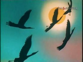 В мире животных — заставка (1974-2000) [480p]