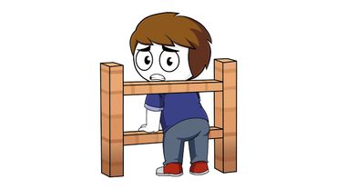 Любой ролик Найса