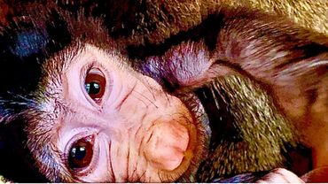 Как только Анфиса протянула ко мне ручку, Лида тут де бросилась на меня без предупреждения…