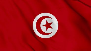Tunisia Flag Waving Background | HD | ROYALTY FREE