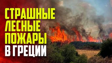 Грецию всколыхнули масштабные пожары