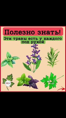 #наукабытьздоровым