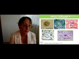 Очищение организма. Врач паразитолог Е. Б Каташова