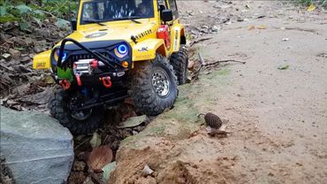 MST CFX Jeep Rubicon Gaya Mountain Adventure 2