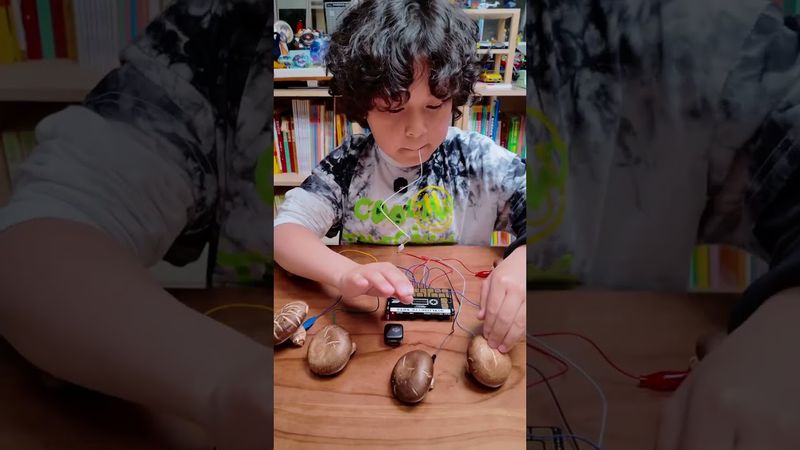 Can Mushrooms Really Make Music? 🎧 DJI Mic Mini Puts It to the Test