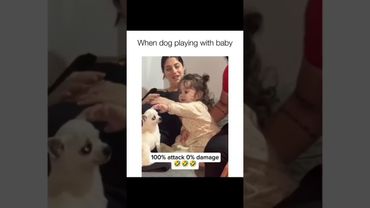 Dogs being idiots part 195: Dogs vs kids 🤣🐕 #funnydog #funnypet #cutedog #dog #pets #shorts