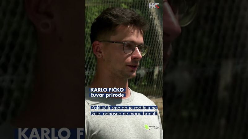 U Dravskoj priči ozlijeđene rode imaju zamjenske roditelje