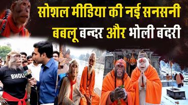 BABLU BANDER  ने काटा सोशल मीडिया पर गदर !! AI Monkey viral video Bholi