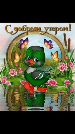 Всем Привет!🥰🥰🥰