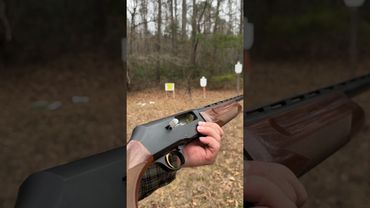 12 gauge loads. Which of these 4 are you choosing for home defense? #shorts #pewpewlife