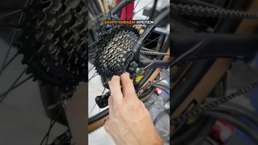 Как настроить задний переключатель #велосипед #покатушка #велосервис #велопокатушка #велоремонт #мтб