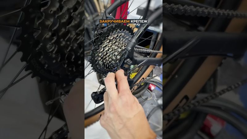 Как настроить задний переключатель #велосипед #покатушка #велосервис #велопокатушка #велоремонт #мтб