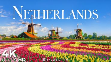 Netherlands 4K • Peaceful Nature Relaxation Film with Deep Calming Music