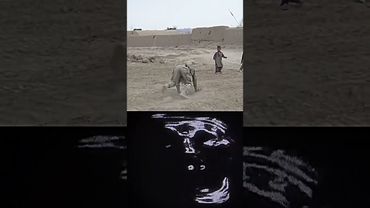 US Soldier - Phonk Troll Face Meme 💀 | credits: @_Z3LDR1S_  #short #fyp #viral