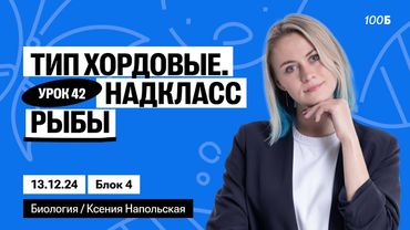 Тип Хордовые. Надкласс Рыбы | Биофак 2025 | Урок 42