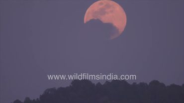 Full moon rises behind a forested Jabbarkhet ridelines, with clouds crossing the globe