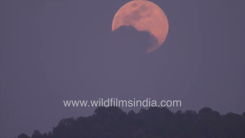 Full moon rises behind a forested Jabbarkhet ridelines, with clouds crossing the globe