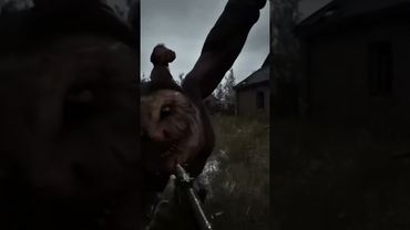 STALKER 2: НОВИЙ Тизер «Псевдогігант» - Швидкий огляд