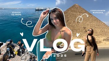 VLOG EGYPT| увидели фараона| обзор на отель MARINA SHARM HOTEL | все о приставучих египтянах