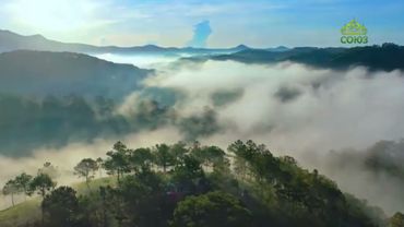 Стихи над миром. Стихотворения Зинаиды Миркиной