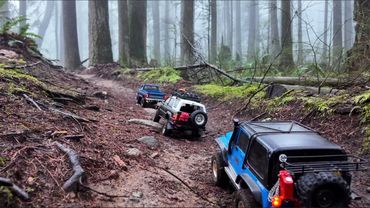 RC scale Off-road showdown: Toyota, Jeep, and Ford Foggy Forest Trail