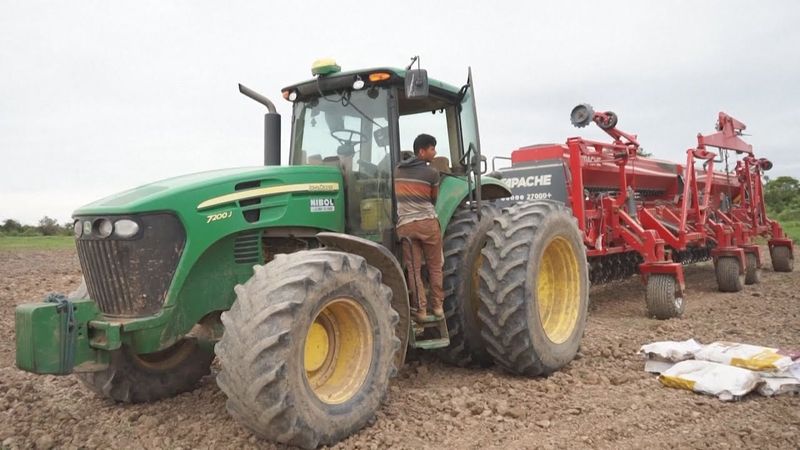 Из-за нехватки топлива в Боливии фермеры не могут собрать урожай