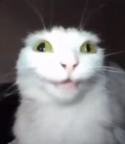 Дискотеки не для меня так то так то я решила ну сами посудите🍽️