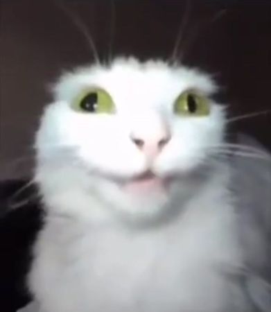 Дискотеки не для меня так то так то я решила ну сами посудите🍽️